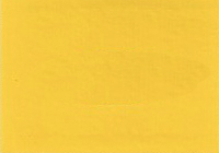 2005 Ford Zinc Yellow